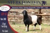 LOT 62 1X MEATMASTER RAM STERKFONTEIN MEATMASTER - 3