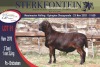 LOT 91 1X MEATMASTER RAM STERKFONTEIN MEATMASTER - 2