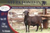 LOT 91 1X MEATMASTER RAM STERKFONTEIN MEATMASTER - 3