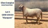 LOT 3 1X RAM - GEREGISTREER - GHM COMPION MEATMASTER - 2