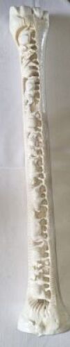 LOT 48 GIRAFFE FEMUR BIG 5 CARVING