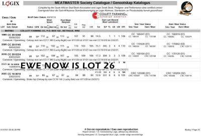 LOT 203S 1X MEATMASTER OOI/EWE