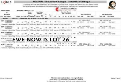 LOT 203S 1X MEATMASTER OOI/EWE