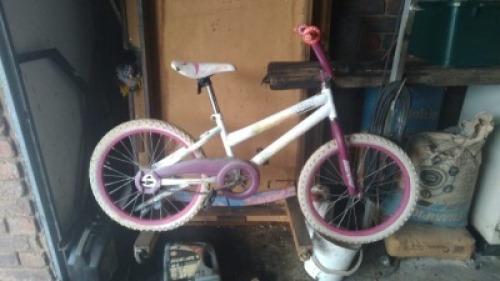 1 X PIENK KINDERFIETS - RIEKIE BOSHOFF