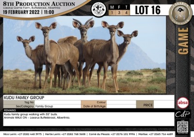 4 x KUDU FAMILY GROUP (Per Piece to take the lot)
