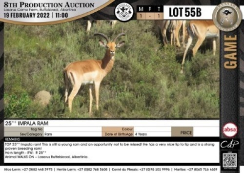 1 x 25+ IMPALA RAM