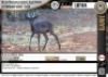 1 x BLACK IMPALA RAM