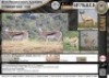 1 x YOUNG SPRINGBUCK RAM OUT OF 17" to 18" RAMS