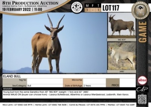 1 x ELAND BULL