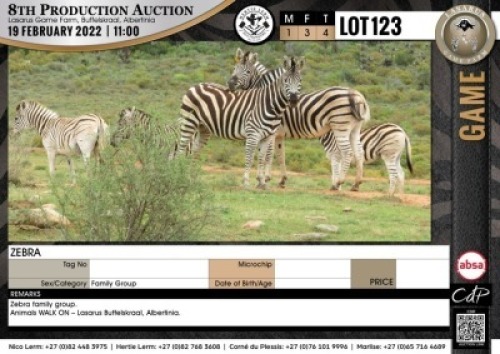 4 x ZEBRA (Per Piece to take the lot)