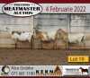 3X OOI/EWE KERN MEATMASTERS 2xPregnant(Buy per piece to take the lot) - 4