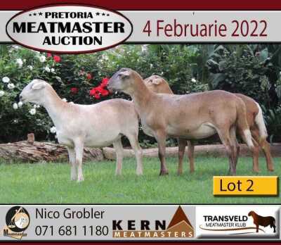 3X OOI/EWE KERN MEATMASTERS (Buy per piece to take the lot)