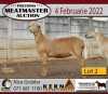 3X OOI/EWE KERN MEATMASTERS (Buy per piece to take the lot) - 2