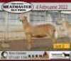 3X OOI/EWE KERN MEATMASTERS (Buy per piece to take the lot) - 2