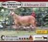 1X RAM KERN MEATMASTERS - 3