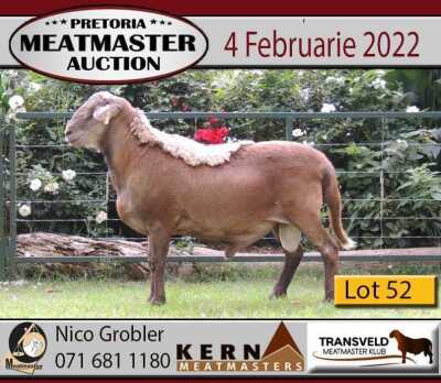 1X RAM KERN MEATMASTERS