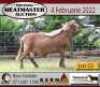 1X RAM KERN MEATMASTERS - 3
