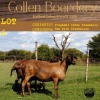 2+1X OOI/EWE COLLEN BOERDERY (Buy per piece to take the lot) - 3