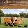 1X OOI/EWE COLLEN BOERDERY