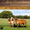 1X OOI/EWE COLLEN BOERDERY - 4