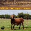 1X RAM COLLEN BOERDERY - 2