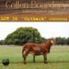 1X RAM COLLEN BOERDERY