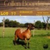 1X OOI/EWE COLLEN BOERDERY Pregnant - 4