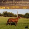 2X OOI/EWE COLLEN BOERDERY (Buy per piece to take the lot) - 3