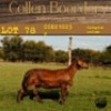 2X OOI/EWE COLLEN BOERDERY (Buy per piece to take the lot) - 4