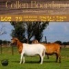 1X OOI/EWE COLLEN BOERDERY Pregnant - 2