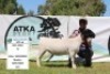 1X DORPER OOI/EWE T5