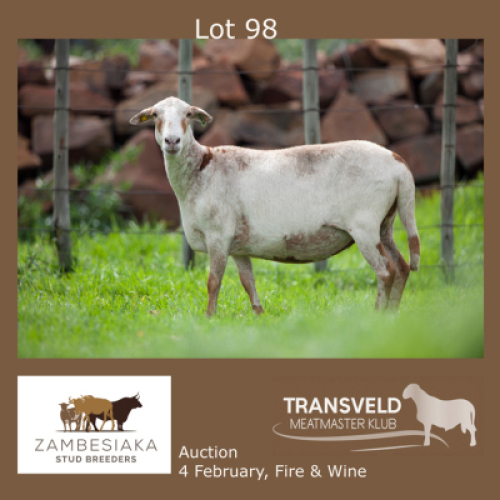 1X OOI/EWE ZAMBESIAKA MEATMASTERS