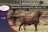 ONTTREK - 1X MEATMASTER RAM STERKFONTEIN MEATMASTERS - 5