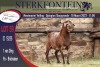 1X MEATMASTER RAM STERKFONTEIN MEATMASTERS