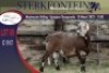 1X MEATMASTER RAM STERKFONTEIN MEATMASTERS - 3