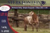 1X MEATMASTER RAM STERKFONTEIN MEATMASTERS - 2