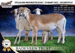 WITHDRAW 4X OOI/EWE MEATMASTER BADEVEEN TRUST