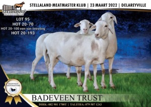 2X OOI/EWE MEATMASTER PREGNANT BADEVEEN TRUST (PAY PER ANIMAL TO TAKE ALL)