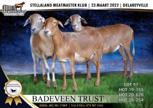 WITHDRAW 3X OOI/EWE MEATMASTER BADEVEEN TRUST