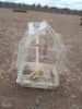 1X Bird Cage