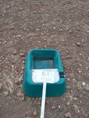 1X Water On Tap For Dogs