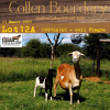 3X OOI/EWE MEATMASTER COLLEN BOERDERY (PAY PER ANIMAL TO TAKE ALL) - 4