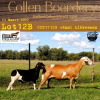 3X OOI/EWE MEATMASTER COLLEN BOERDERY (PAY PER ANIMAL TO TAKE ALL) - 8