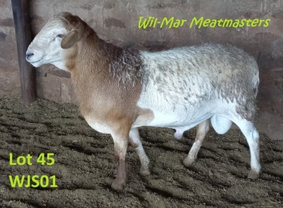 WITHDRAW 1X RAM MEATMASTER WIL-MAR MEATMASTERS