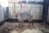 1 X WATERBOK 28" M:1