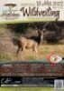 Sample of Animals - 7