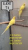 1-1 '20 Ringneck Parakeet: Ino x Ino - Jan Harm Venter