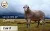 1X MEATMASTER RAM STOET BADEVEEN - 2