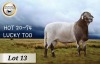 1X MEATMASTER RAM CB BADEVEEN - 2
