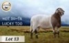 1X MEATMASTER RAM CB BADEVEEN - 2